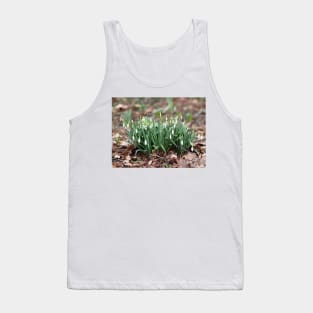 Delicate Snowdrop flower is one of the spring symbols telling us winter is leaving Tank Top